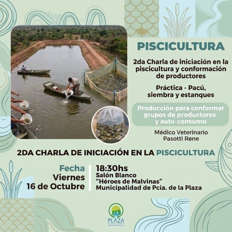 MUNICIPALIDAD DE PRESIDENCIA DE LA PLAZA