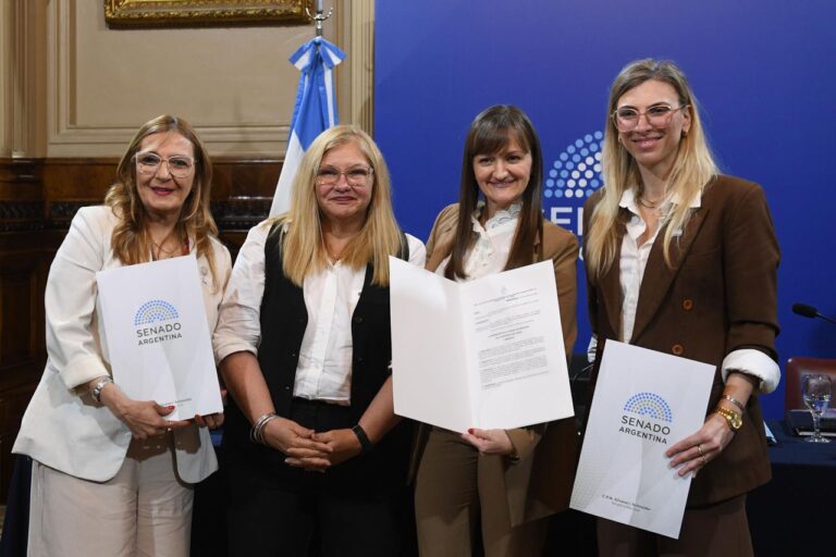 Chaco presentó en el Senado de la Nación su modelo pionero de odontología inclusiva